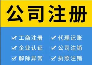 個人獨(dú)資企業(yè)與一人有限公司在納稅方面有什么差別